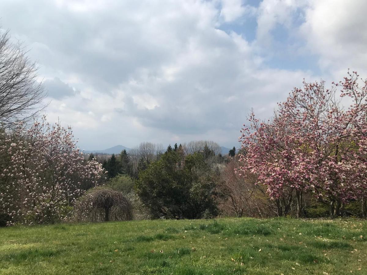 Bed and Breakfast Casa Regis Lessona Esterno foto