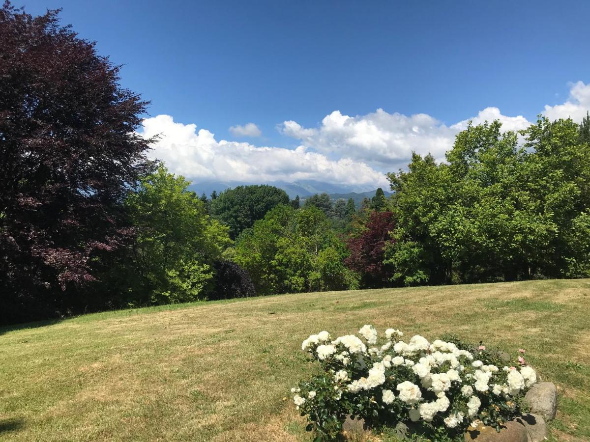 Bed and Breakfast Casa Regis Lessona Esterno foto