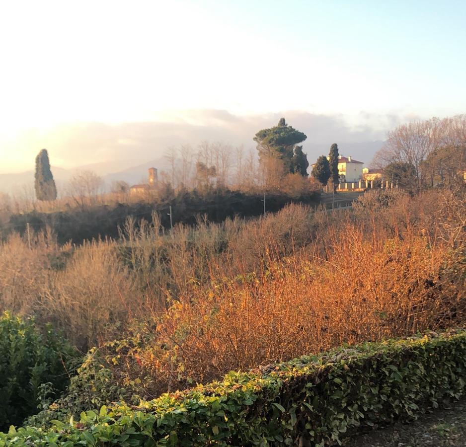 Bed and Breakfast Casa Regis Lessona Esterno foto